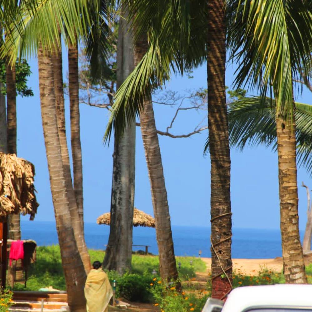 best hotels in neil island