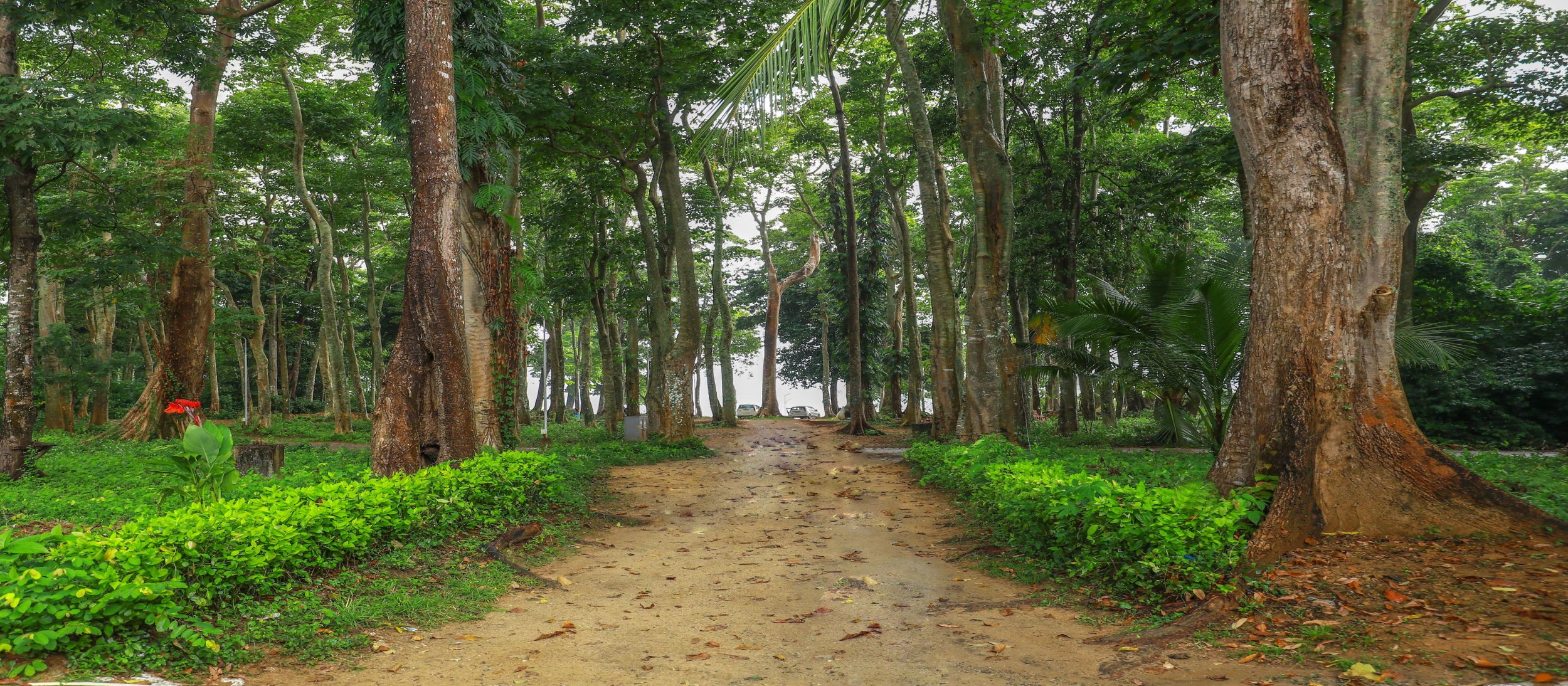 hotels in neil island andaman